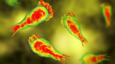 Una niña de 10 años, en coma inducido tras contraer una ameba 'comecerebros' mientras nadaba en un río de Texas