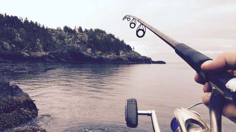 "Un poco como un dinosaurio": pescan un pez de aspecto prehistórico en Noruega (FOTO)