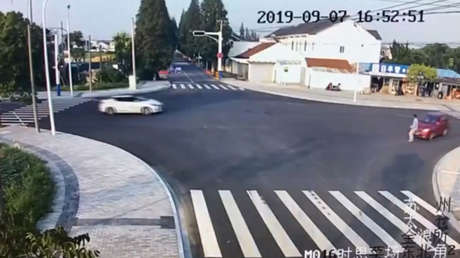 VIDEO: Un perro 'enseña' a un humano a cruzar la calle