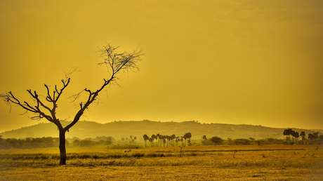 Un estudio del clima de hace más de 50 millones de años trae malas noticias para el futuro del planeta