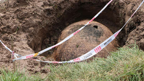 Un grupo de pescadores encuentra en Argentina el caparazón de un megamamífero de más de 10.000 años de antigüedad