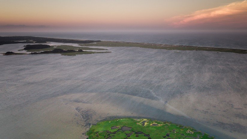 Identifican en unos microbios una proteína que ayudará a medir las temperaturas de los antiguos océanos