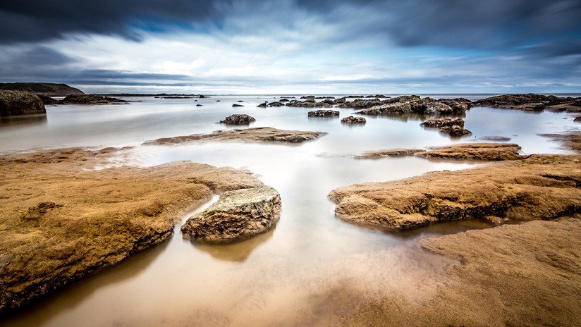 "¿Alguien sabe lo que es?":  Encuentra un extraño animal en una playa australiana y pide ayuda para identificarlo (FOTO)