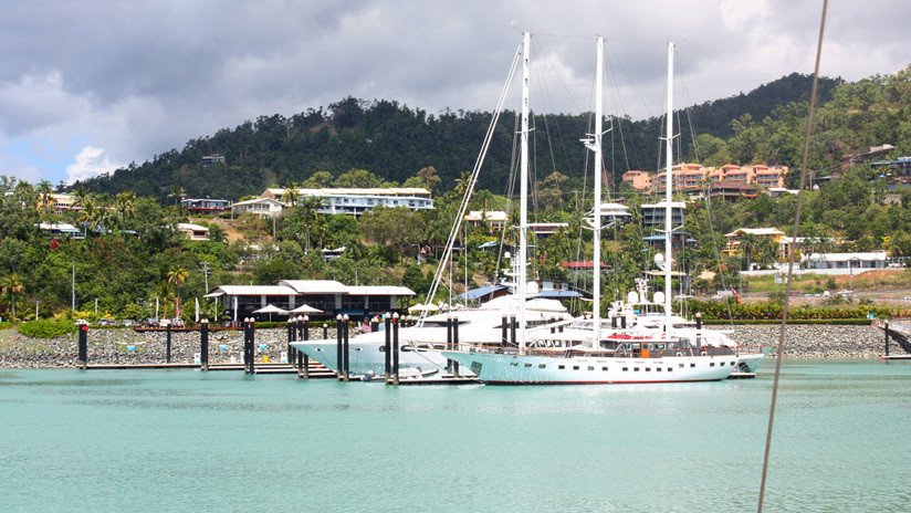 Un tiburón le arranca una pierna a un turista y deja grave a otro en Australia