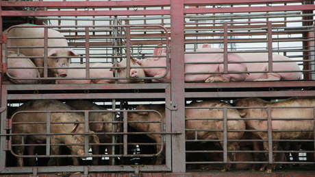 ¿Qué medidas debería tomar la UE?: los nuevos aranceles de Trump se ensañan con España