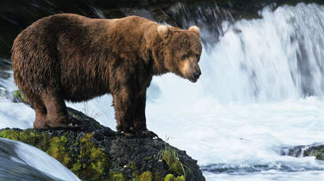 FOTOS: Peligro mortal acecha a espaldas de dos pescadores que no se percatan de su presencia