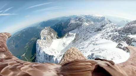 VIDEO: Las consecuencias del calentamiento global, a través de los ojos de un águila