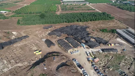 Descubren en Israel "la Nueva York de la Edad de Bronce"