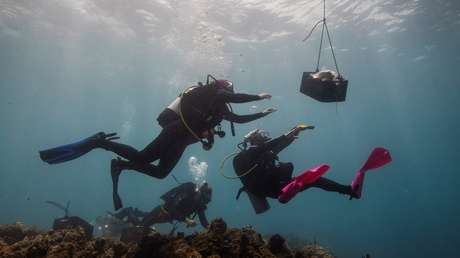 FOTOS: Recuperan de un naufragio de hace 180 años parte de un tesoro en monedas de oro estimado en "decenas de millones de dólares"
