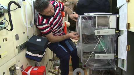 'Filete espacial': Imprimen con éxito en la Estación Espacial Internacional la primera carne de vaca 'extraterrestre'