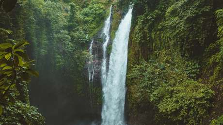 Extraen un nuevo antibiótico de una bacteria que habita en el suelo de una selva mexicana