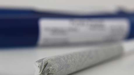 VIDEO: Una diputada mexicana le entrega un porro a la Secretaria de Gobernación para recordar el proyecto de la legalización del cannabis