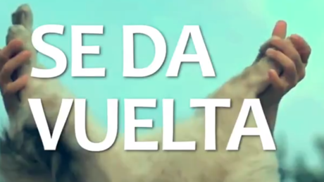 El polémico 'spot' de un diputado de la coalición que lidera Mauricio Macri en el que maltratan a un gato