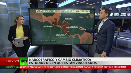 Científicos alertan que la narco-deforestación contribuye al cambio climático