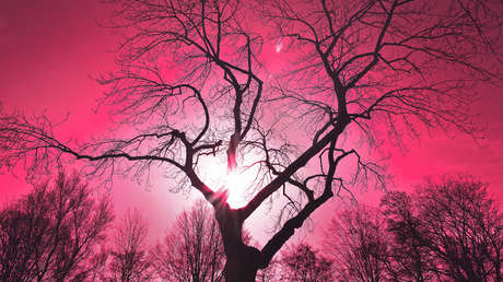 VIDEO: Circula por una carretera rusa y se topa con un gigantesco resplandor rosa que ilumina el cielo nocturno