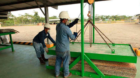 'Madera plástica': una iniciativa evita la tala de casi 1000 árboles al procesar 65 toneladas de desechos