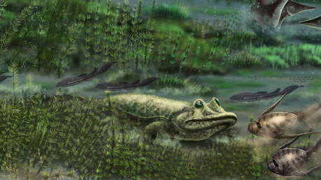 FOTO: Hallan el esqueleto de cuadrúpedo mejor conservado y más antiguo que se conozca y logran reconstruir su cráneo