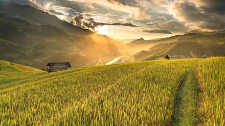 Más de dos días atrapado en un pozo: la carrera a contrarreloj para rescatar a un niño en la India