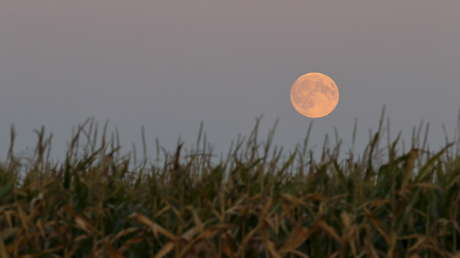 Encuentran a un niño desaparecido gracias a un dron con cámara térmica