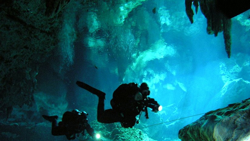 FOTOS: Hallan enormes dientes de tiburón en sumideros submarinos del Golfo de México