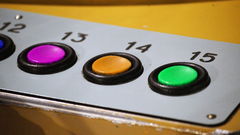 VIDEO: Perro aprende a comunicarse a través de un inusual sistema de botones