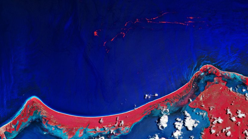 Captan desde el espacio gigantescas manchas de sargazo cerca de la costa de México