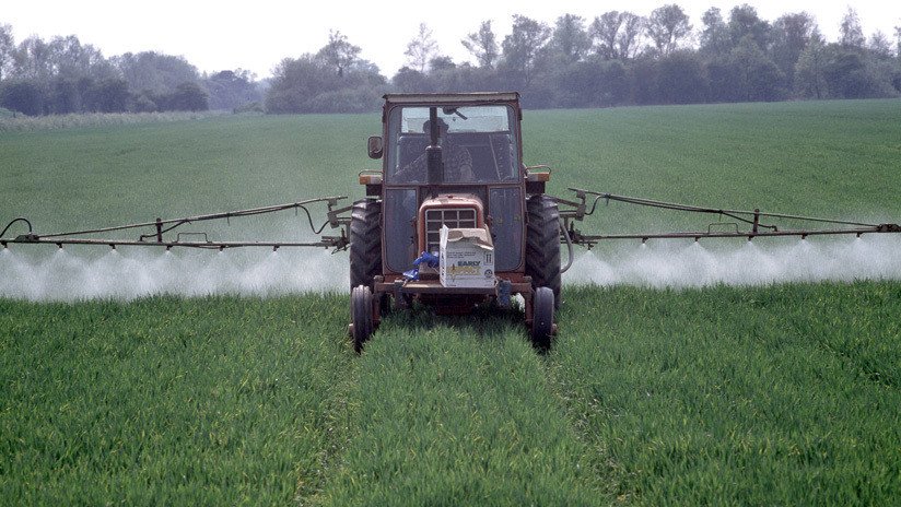 Advierten que el "apocalipsis de los insectos" afectaría a todo el planeta