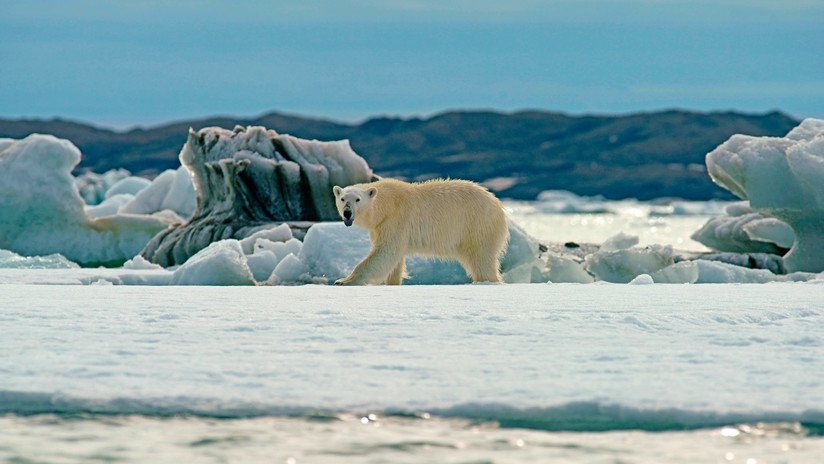 VIDEO: Científicos muestran los dramáticos cambios en el último refugio de hielo del Ártico
