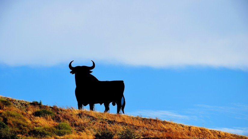 VIDEO: Rescatan con una grúa a un toro que subió a lo alto de una torre de agua de más 60 metros