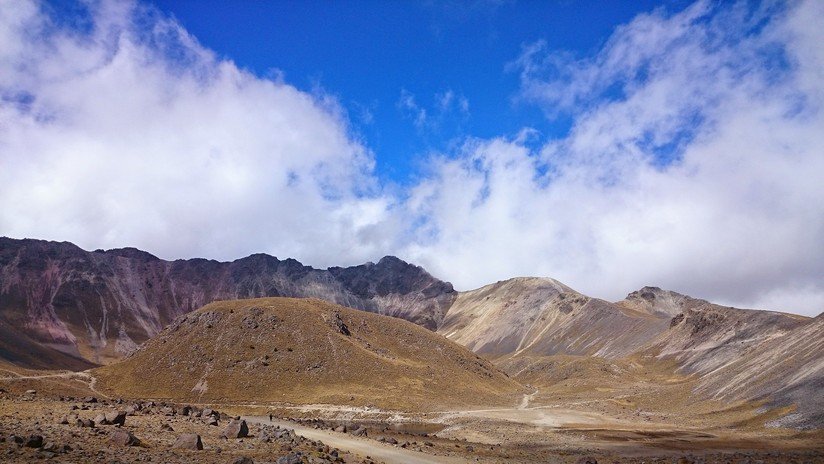 Liberan al actor Alejandro Sandí y al ciudadano francés secuestrados el domingo en México