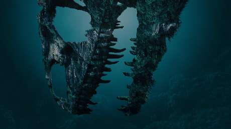 Hallan huesos de un enorme 'monstruo' marino de 150 millones de años en Polonia