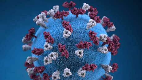 La teoría de que el sarampión borra la memoria inmunológica del organismo cobra fuerza con nuevas pruebas