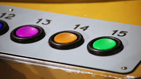 VIDEO: Perro aprende a comunicarse a través de un inusual sistema de botones