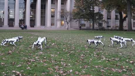 "Prácticamente indestructible": Muestran a 'robots guepardo' mientras bailan y juegan al fútbol