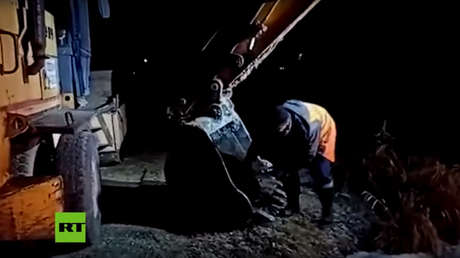 VIDEO: Obrero ruso se sube al cucharón de una excavadora para salvar a un perro callejero que cayó a un lago congelado