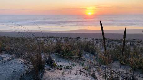 'Marea blanca': Cierran playas en Francia tras la llegada de más de mil kilos de cocaína arrastrada por las olas