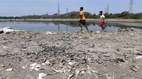 Estiman cómo afectará el cambio climático la vida de quienes nacen en la actualidad