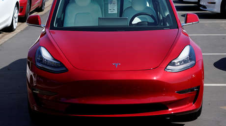 VIDEO: El piloto automático de un Tesla esquiva a una familia de patos que cruzaba la carretera