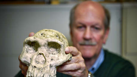 Crean una tecnología que determina el sexo y la especie de fósiles de más de un millón de años de antigüedad