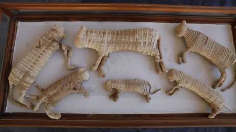 FOTOS: Hallan momias de leones y decenas de figuras de cocodrilos y otros animales en una antigua necrópolis de Egipto