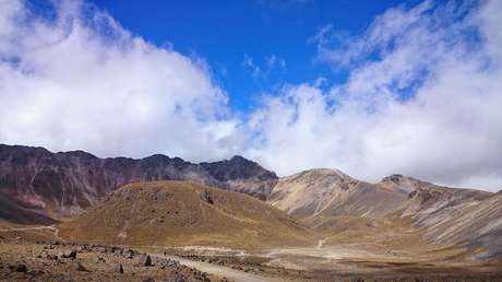 Liberan al actor Alejandro Sandí y al ciudadano francés secuestrados el domingo en México