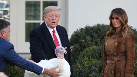 Trump indulta a los pavos 'Pan y Mantequilla' en una ceremonia en la Casa Blanca (VIDEO)