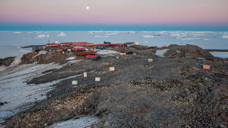 Australia ayudará a los científicos franceses atrapados en la Antártida por la avería del barco galo que debía evacuarlos