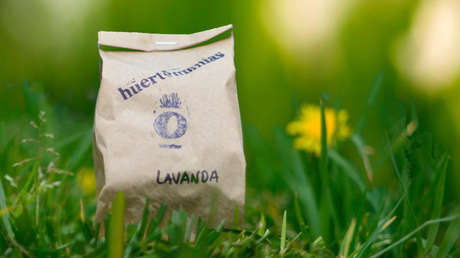 Un emprendimiento agrícola levantando por personas con trastornos mentales excluidos del sistema laboral