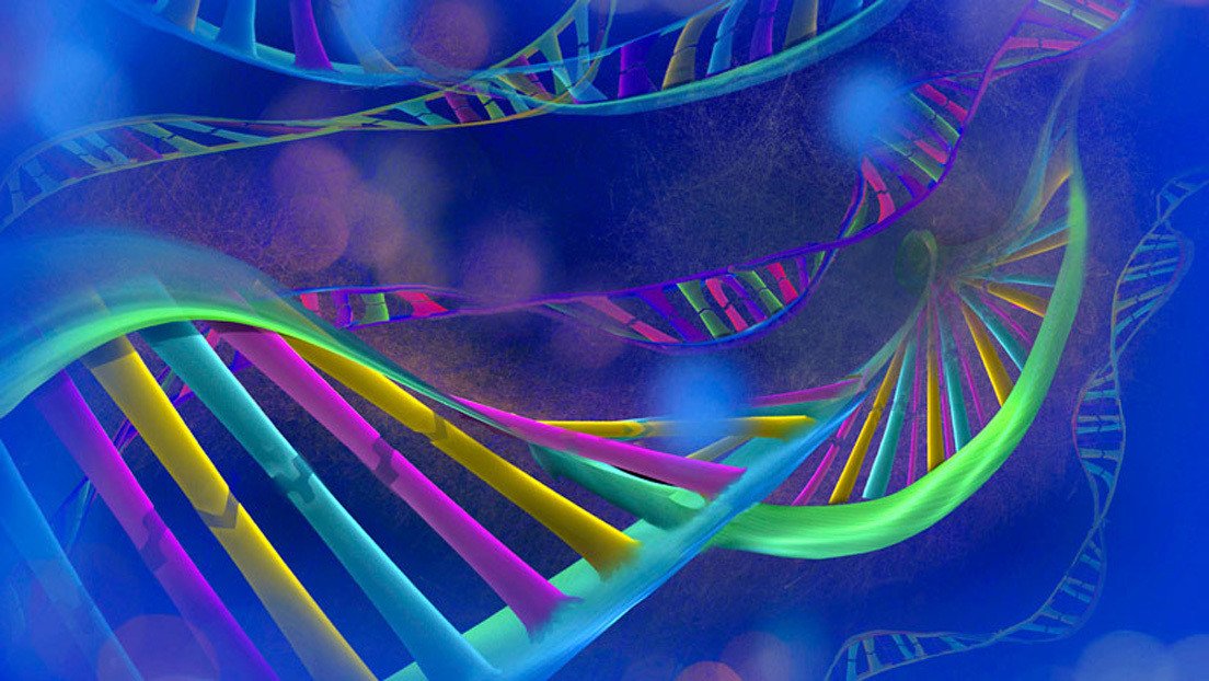 "Soy otra persona": un hombre se hace la prueba de ADN y esta dice que es un joven que vive en otro continente