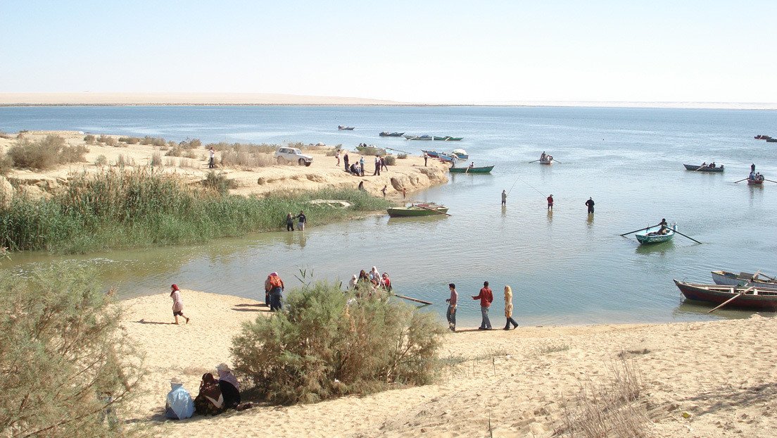 Identifican a una ballena con patas en un esqueleto hallado en un desierto de Egipto