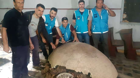 Recuperan en Argentina los fósiles de un megamamífero de más de 10.000 años de antigüedad