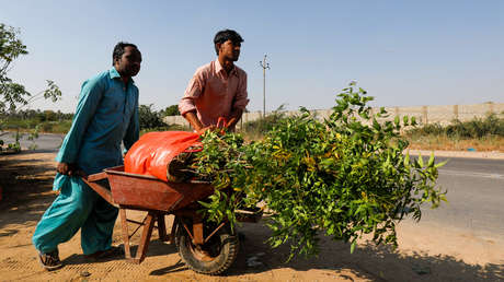 Un jubilado quiere plantar 50.000 árboles para dar sombra a los peregrinos en Irak