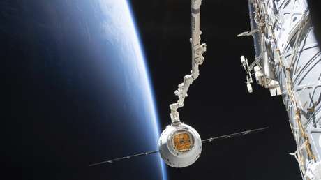 La Estación Espacial Internacional recibe ratones modificados genéticamente, miles de gusanos y un robot