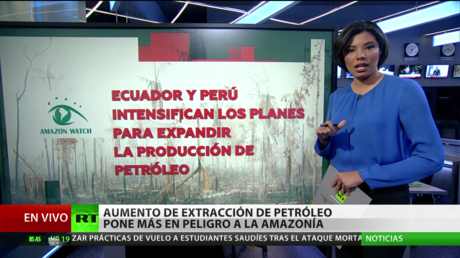 Proponen crear una zona de protección de la Amazonia para salvarla de la explotaciones mineras y petroleras
